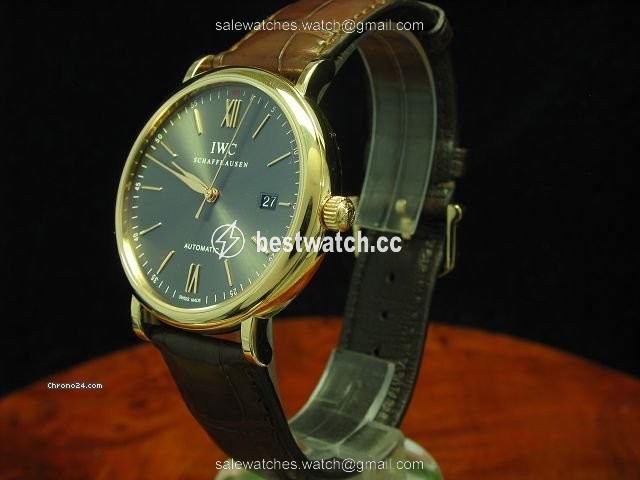 IMG_9085 IWC Portofino Automatic Mens watch Unisex Automatic 3565 IW356504 Replica 2