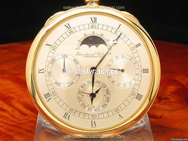 IMG_9085 IWC Manual winding 5500 Replica 2
