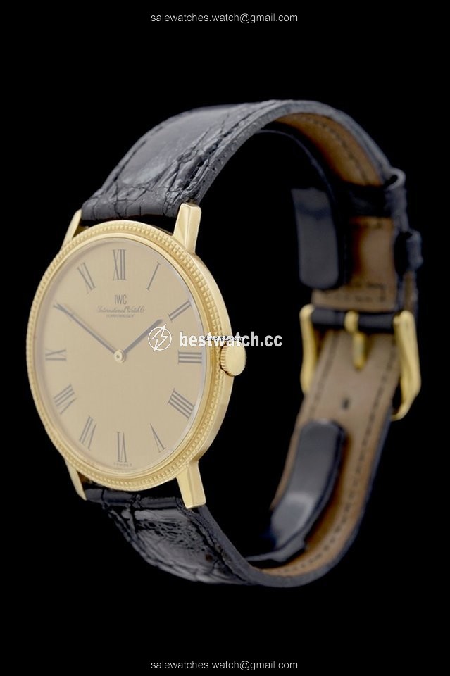 IMG_9085 IWC Mens watch Unisex Manual winding Yellow gold 2006 Replica 2