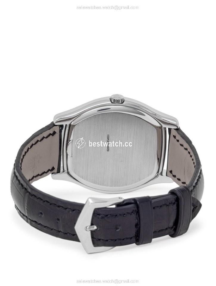 IMG_9085 Patek Philippe Perpetual Calendar Mens watch Unisex Automatic Platinum 5040P Replica 2