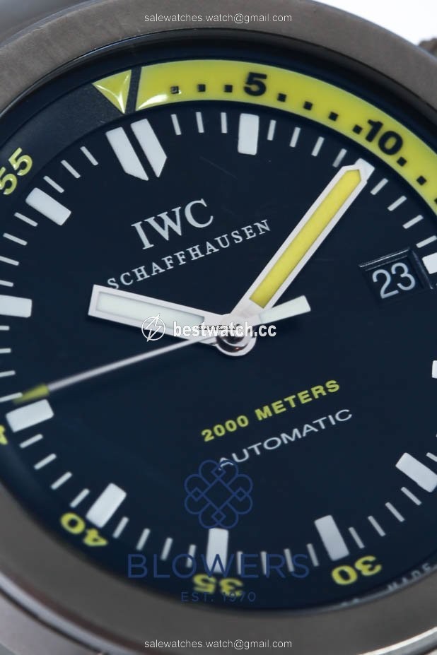 IMG_9085 IWC Aquatimer Automatic 2000 Mens watch Unisex Automatic Titanium IW353803 Replica 2