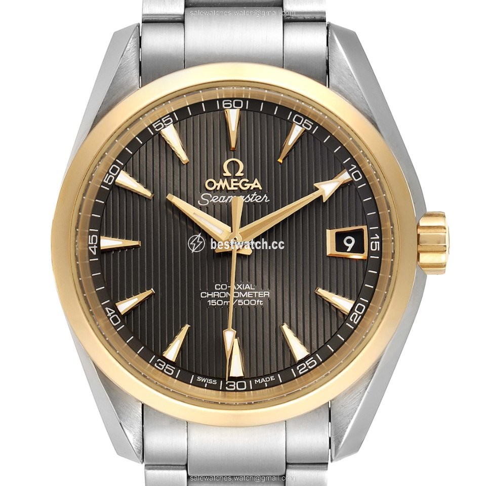 Omega Seamaster Aqua Terra Mens watch Unisex Automatic Steel 231.20.39.21.06.004 Replica 2