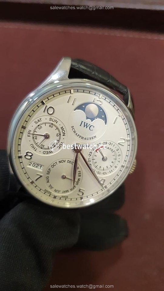 IWC Portuguese Perpetual Calendar Mens watch Unisex Automatic Platinum IW502305 Replica 2