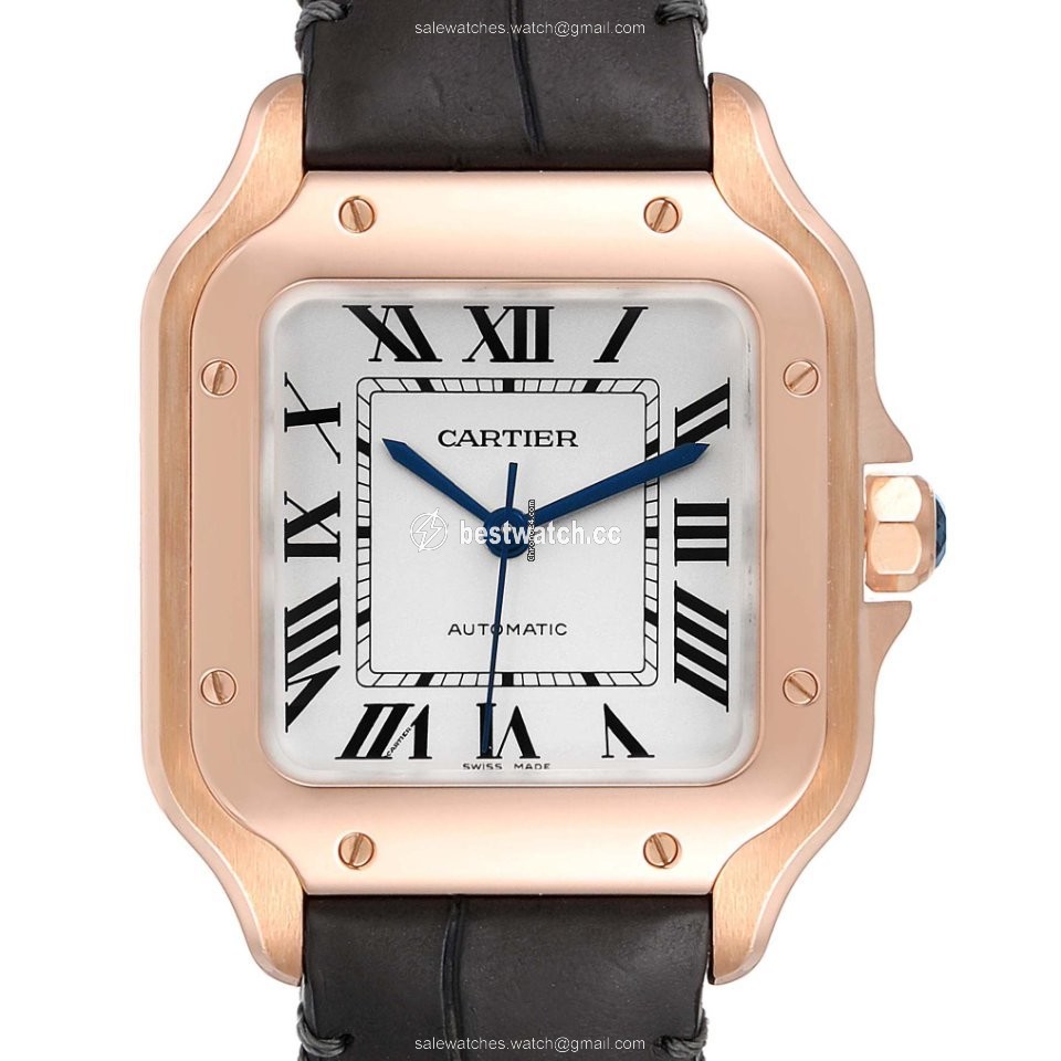 IMG_9085 Cartier Santos Mens watch Unisex Automatic WGSA0012 Replica 2