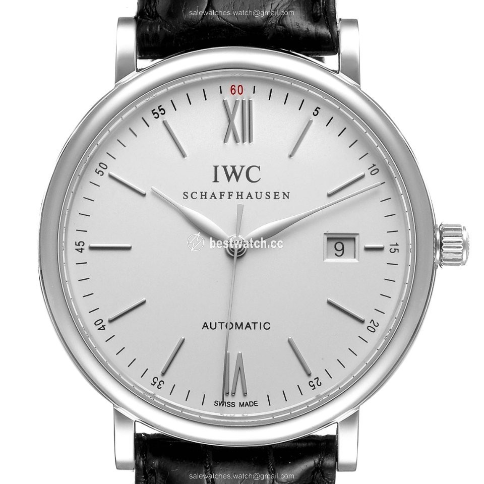 IMG_9085 IWC Portofino Automatic Mens watch Unisex Automatic Steel IW356501 Replica 2