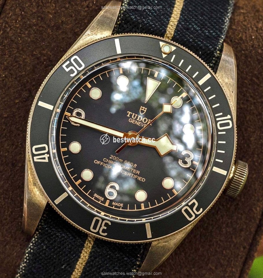 IMG_9085 Tudor Black Bay Bronze Mens watch Unisex Automatic Bronze M79250BA Replica 2