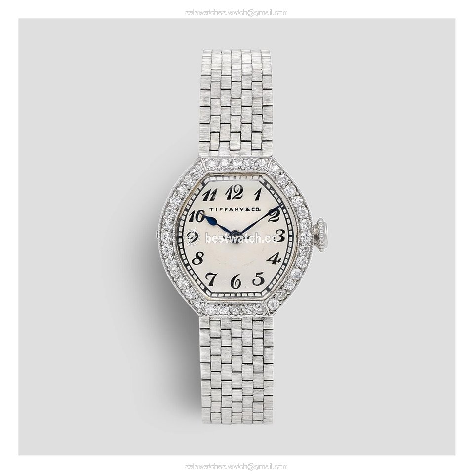 IMG_9085 Patek Philippe Womens watch Manual winding White gold IW544501 Replica 2