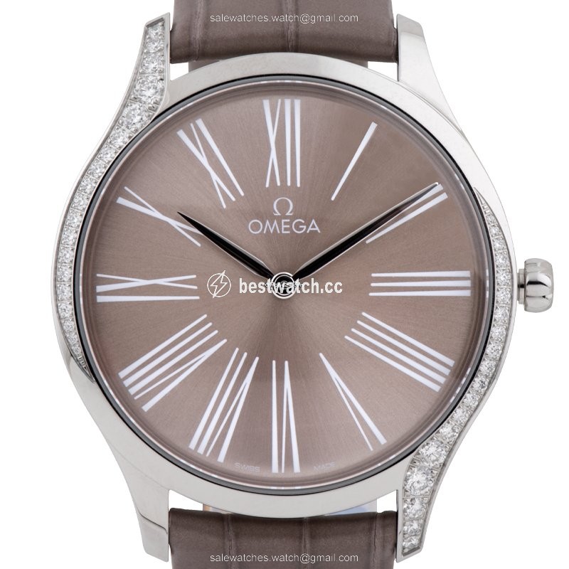 IMG_9085 Omega De Ville Tresor Womens watch Quartz Steel 428.18.39.60.13.001 Replica 2