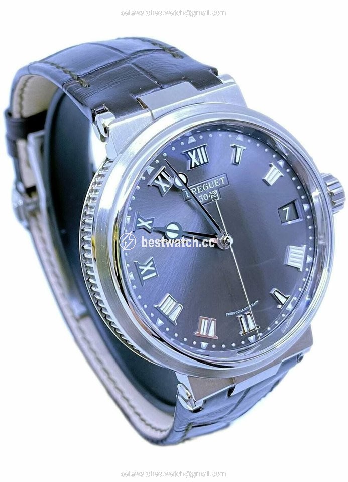Breguet Marine Mens watch Unisex Automatic Titanium 5517TI Replica 2