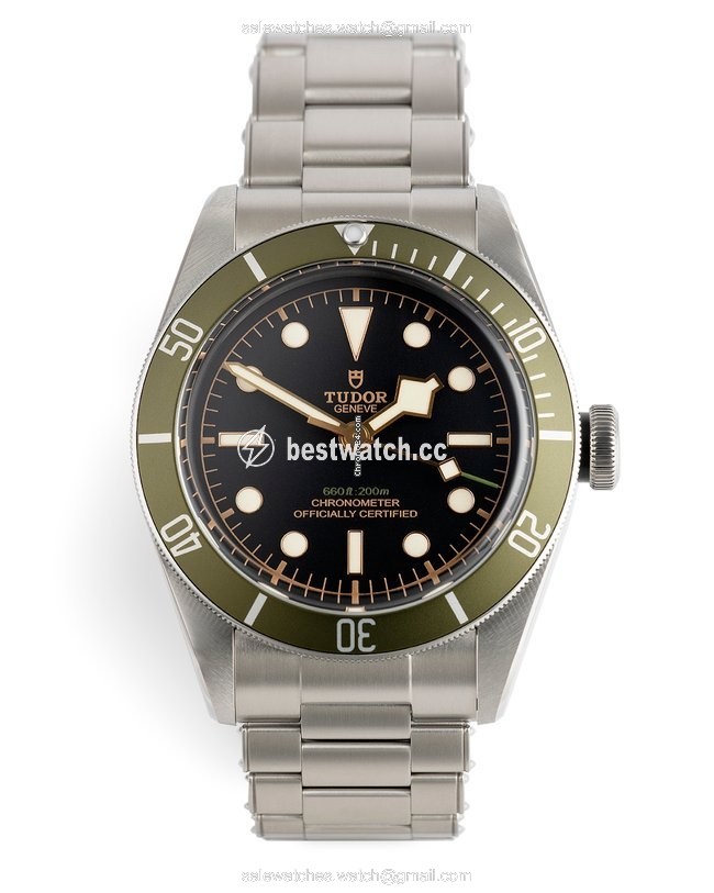 Tudor Black Bay Automatic Steel 79230G Replica 2