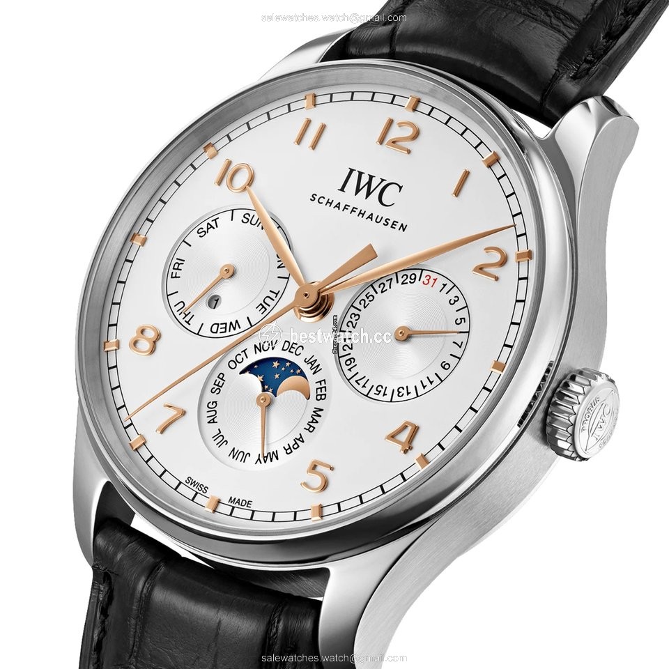 IMG_9085 IWC Portuguese Perpetual Calendar Mens watch Unisex Automatic Steel IW344203 Replica 2