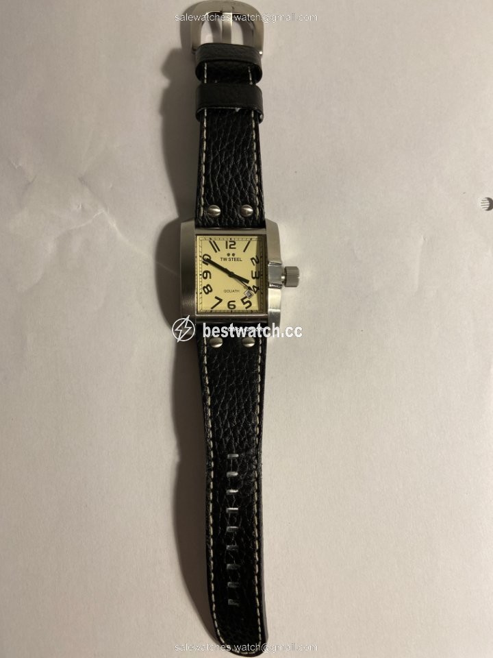 IMG_9085 TW Steel Womens watch Steel TW20 Replica 2