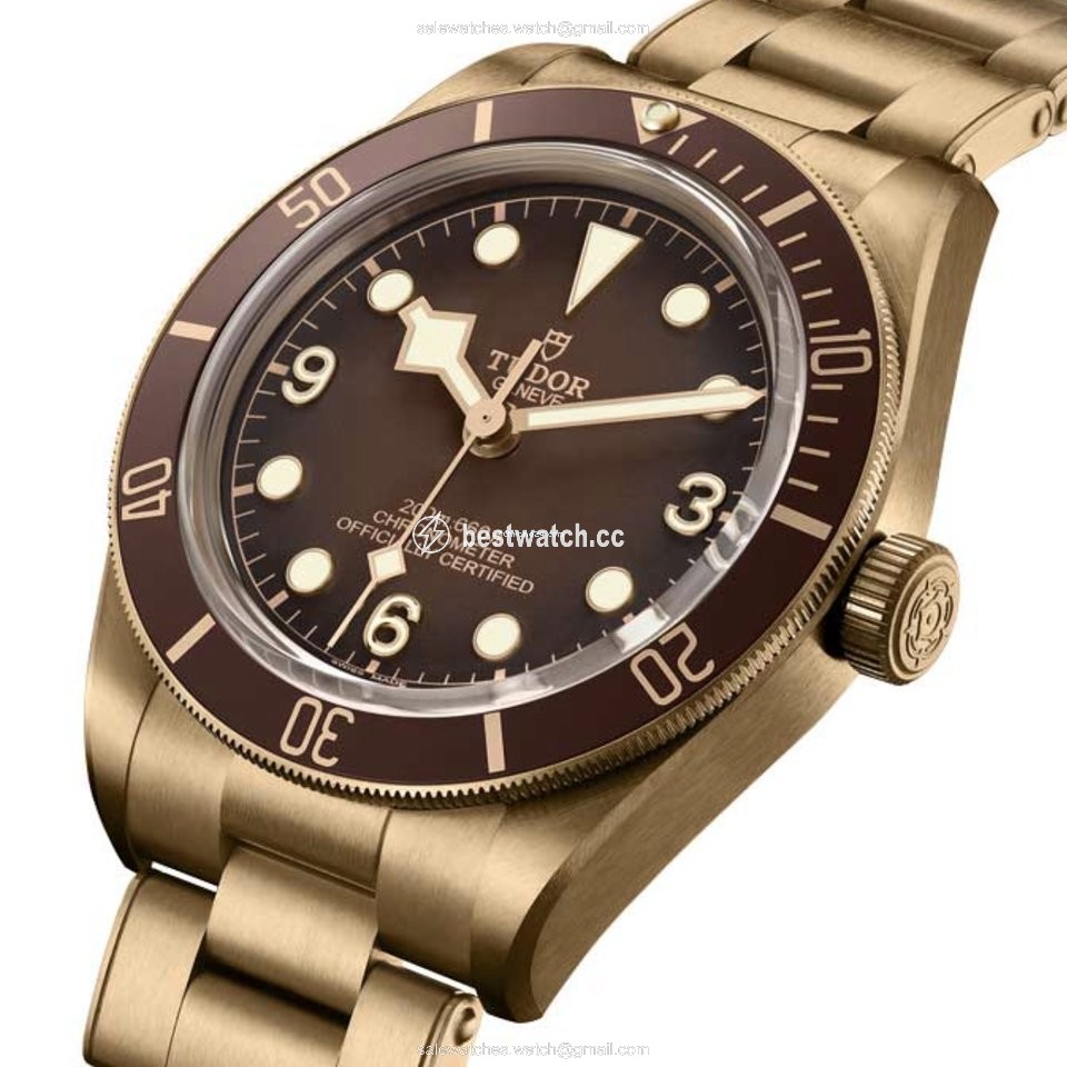 IMG_9085 Tudor Mens watch Unisex Automatic Bronze M79012M-0001 Replica 2