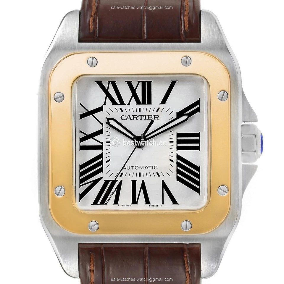 Cartier Santos 100 Mens watch Unisex Automatic Steel W20072X7 Replica 2