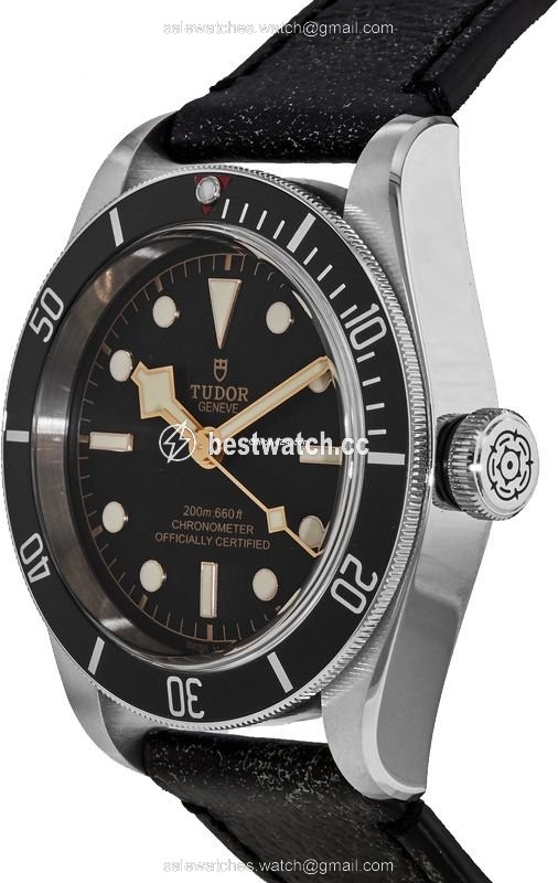 Tudor Black Bay Mens watch Unisex Automatic Steel M79230N-0001 Replica 2