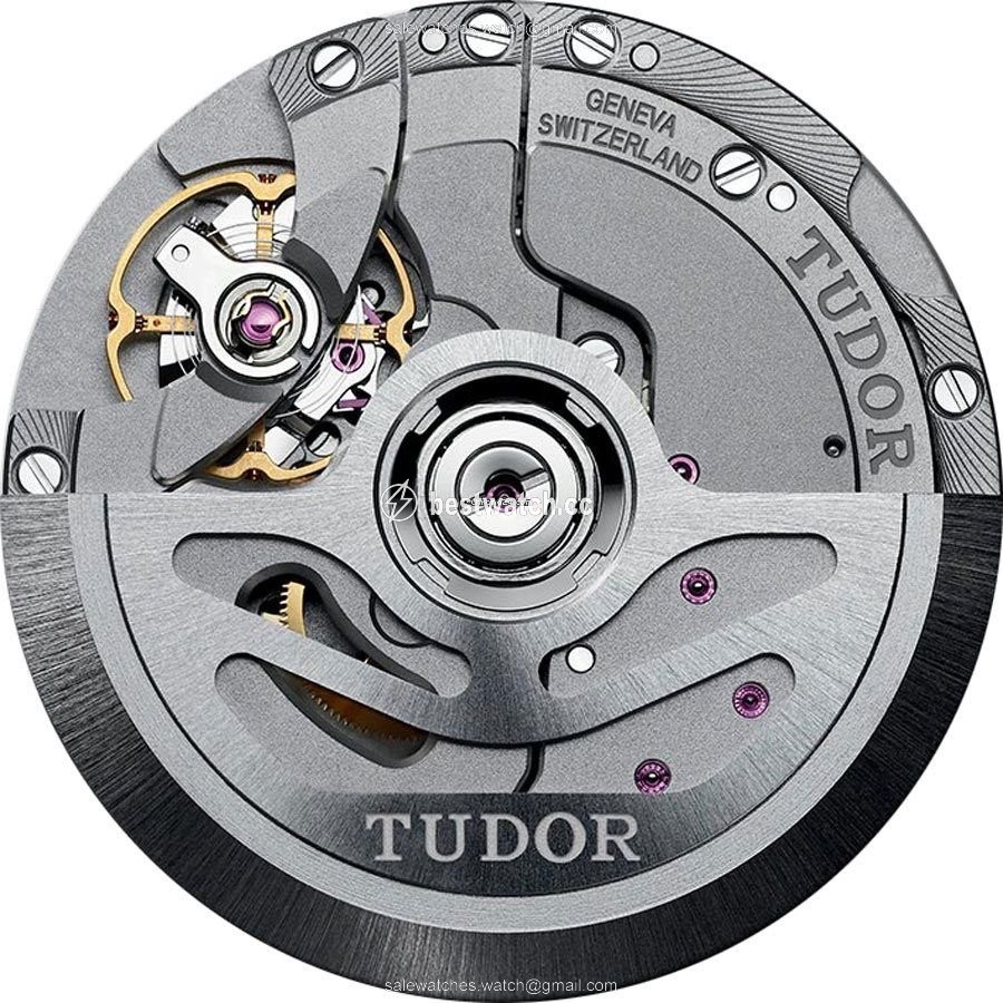 IMG_9085 Tudor Black Bay Mens watch Unisex Automatic Steel M79230R-0004 Replica 2