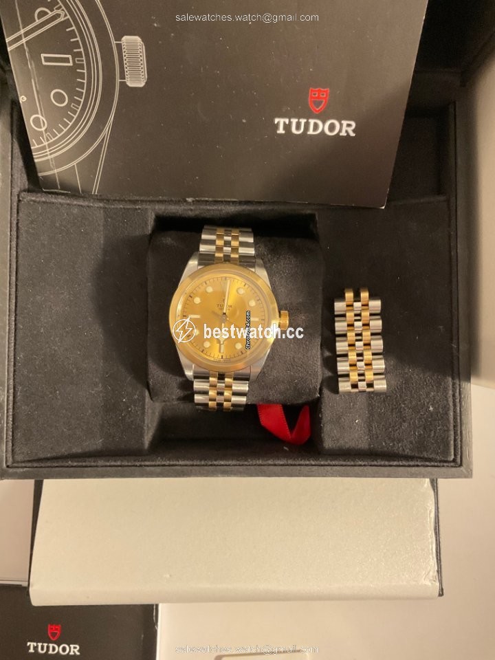 IMG_9085 Tudor Mens watch Unisex Automatic Gold Steel 79503-0002 Replica 2
