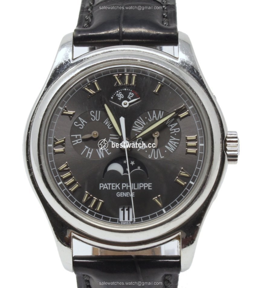 IMG_9085 Patek Philippe Annual Calendar Mens watch Unisex Automatic Platinum 5056P Replica 2
