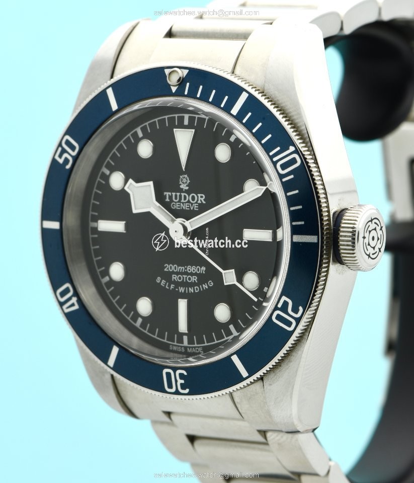 IMG_9085 Tudor Black Bay Mens watch Unisex Automatic Steel 79220B Replica 2