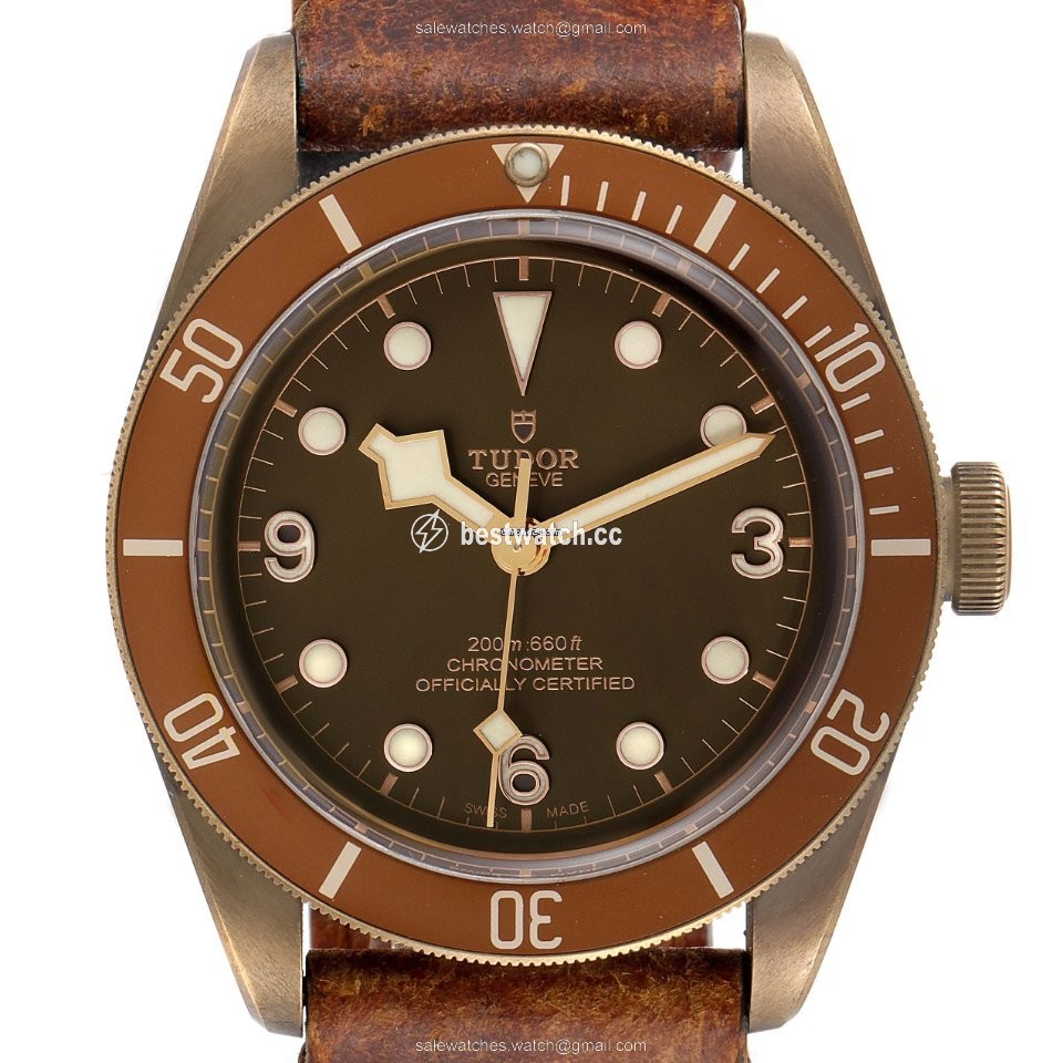 IMG_9085 Tudor Black Bay Bronze Mens watch Unisex Automatic 79250B Replica 2