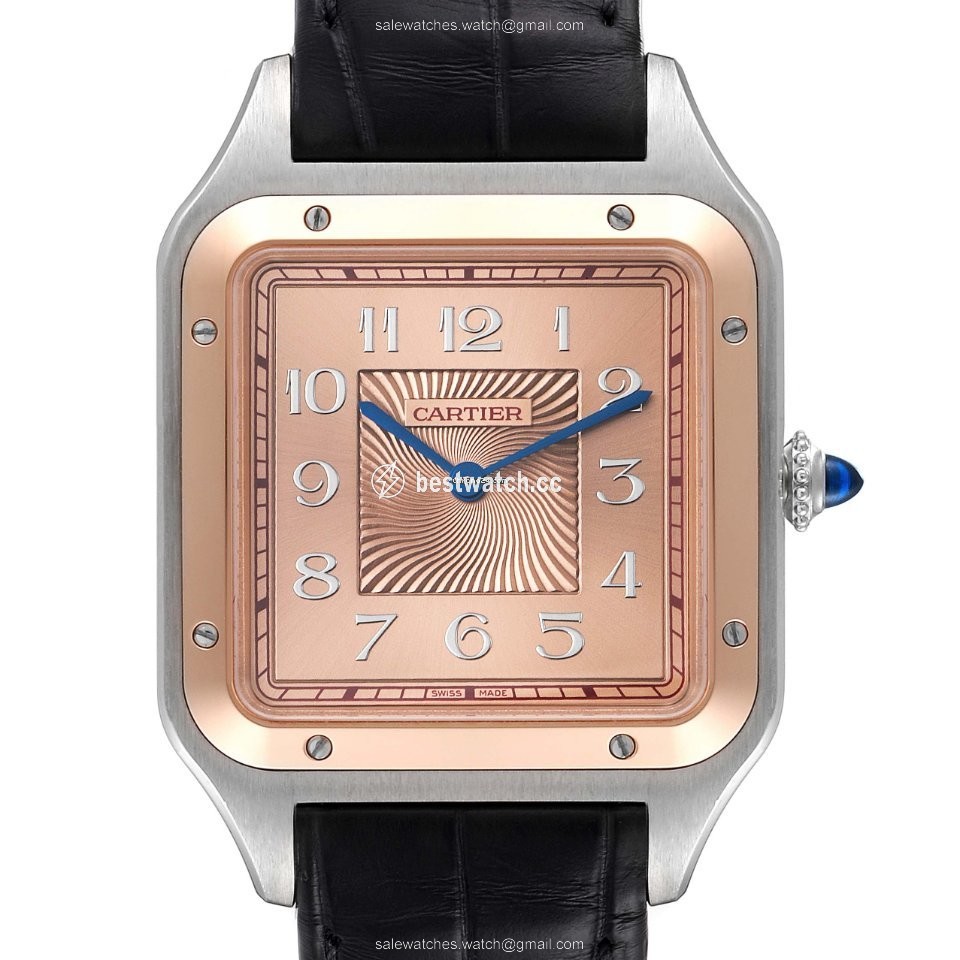 IMG_9085 Cartier Santos Dumont Mens watch Unisex Manual winding Steel W2SA0025 Replica 2