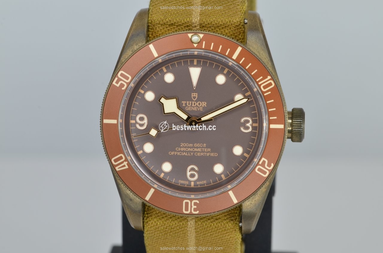 Tudor Black Bay Bronze Mens watch Unisex Automatic Bronze 79250BM Replica 2
