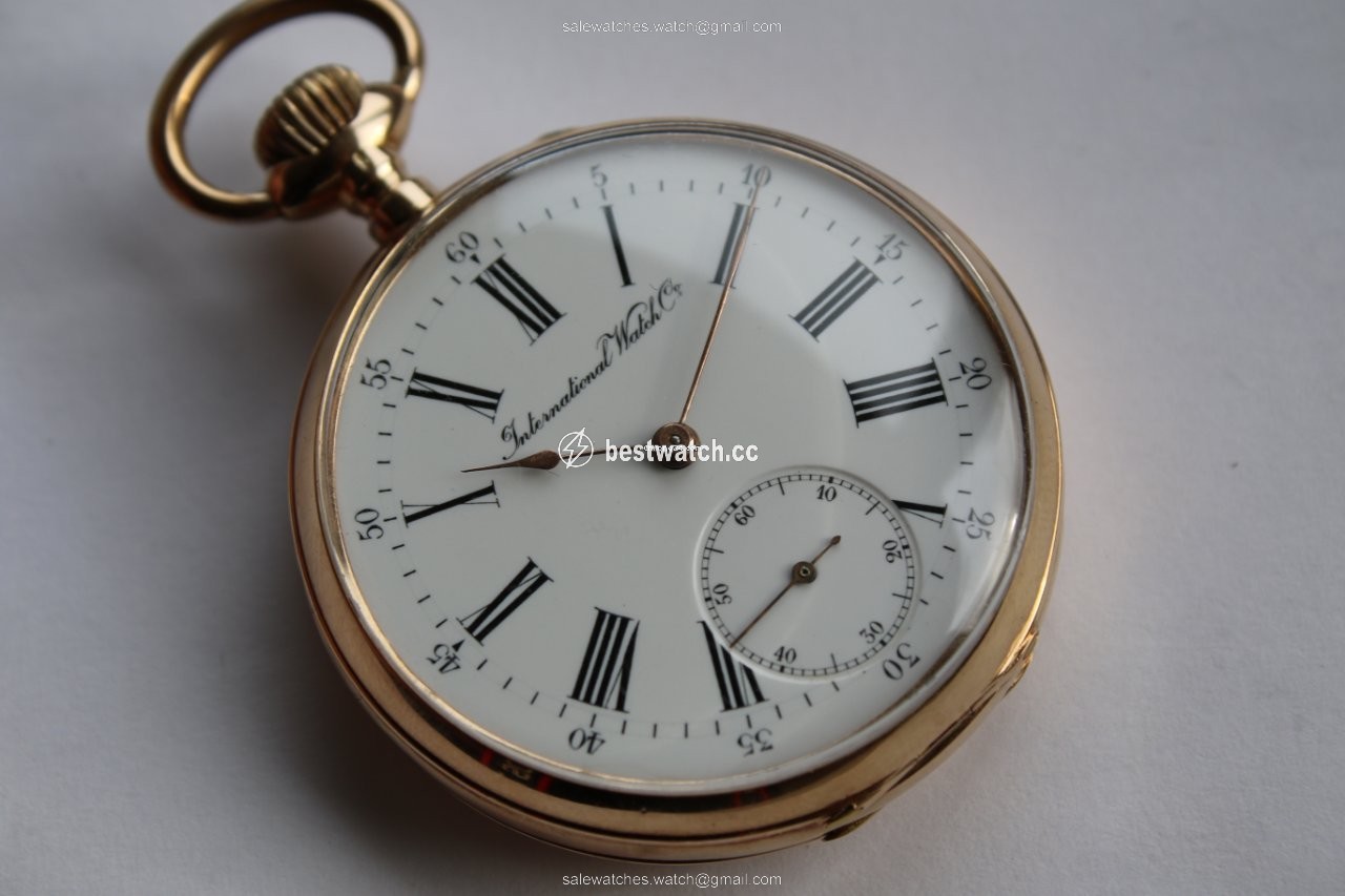 IWC Mens watch Unisex Manual winding Rose gold 310890 Replica 2