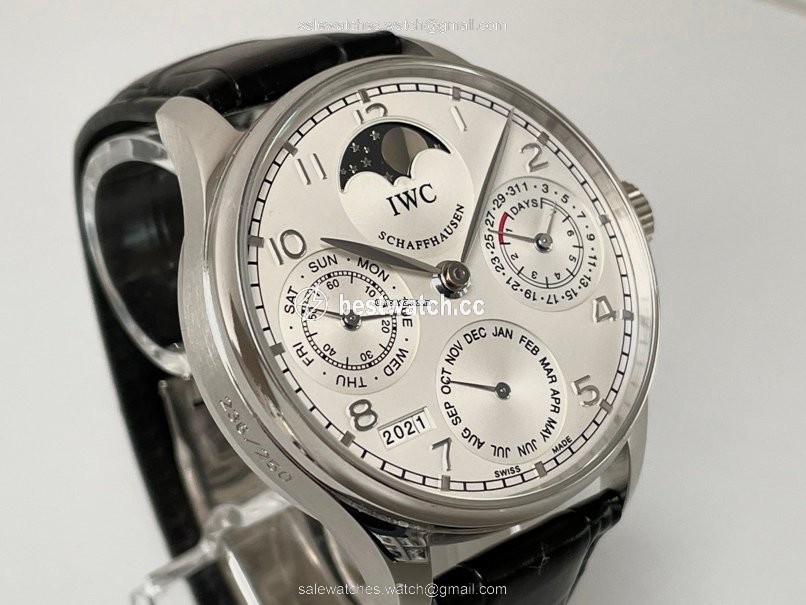 IMG_9085 IWC Portuguese Perpetual Calendar Mens watch Unisex Automatic Platinum IW5022-19 Replica 2