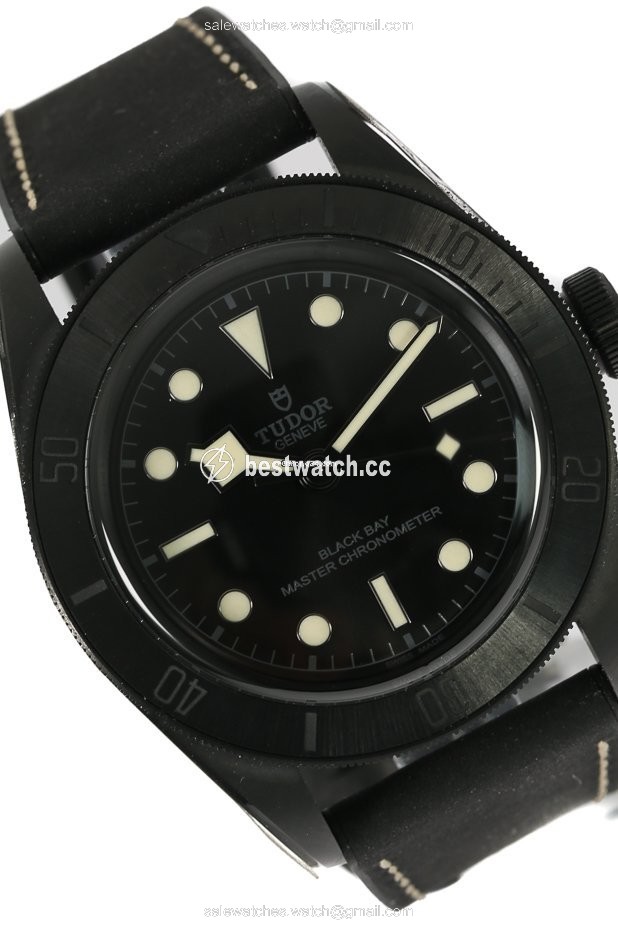 Tudor Black Bay Automatic Ceramic M79210CNU Replica 2