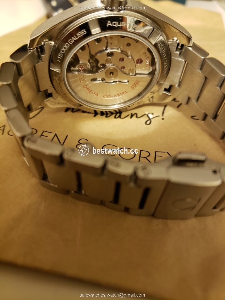 Omega Seamaster Aqua Terra Mens watch Unisex Automatic Steel 231.10.39.21.01.002 Replica 2