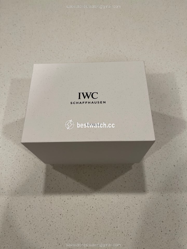 IWC Portofino Chronograph Mens watch Unisex Automatic Steel IW391404 Replica 2