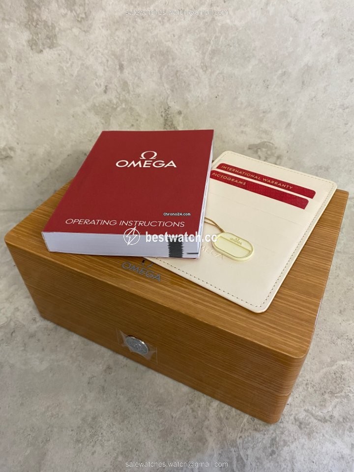 Omega Seamaster Aqua Terra Mens watch Unisex Quartz Steel 231.10.39.60.02.001 Replica 2