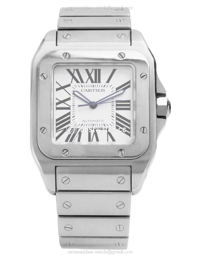 IMG_9085 Cartier Santos 100 Mens watch Unisex Automatic Steel W200737G Replica 2