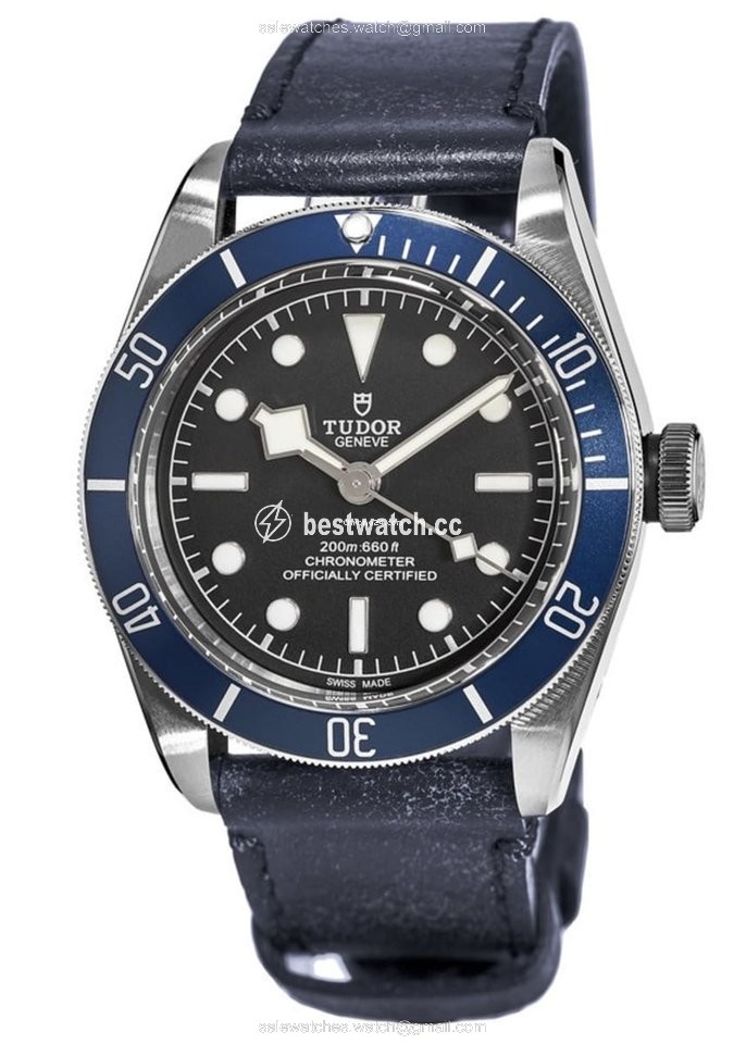 IMG_9085 Tudor Black Bay Mens watch Unisex Automatic Steel 79230B-0007 Replica 2