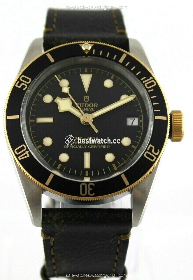 IMG_9085 Tudor Black Bay S&G Mens watch Unisex Automatic Steel M79733N-0007 Replica 2