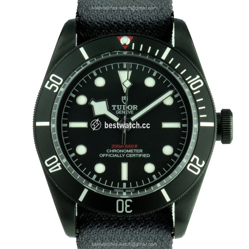 IMG_9085 Tudor Black Bay Dark Mens watch Unisex Automatic Steel 79230DK Replica 2