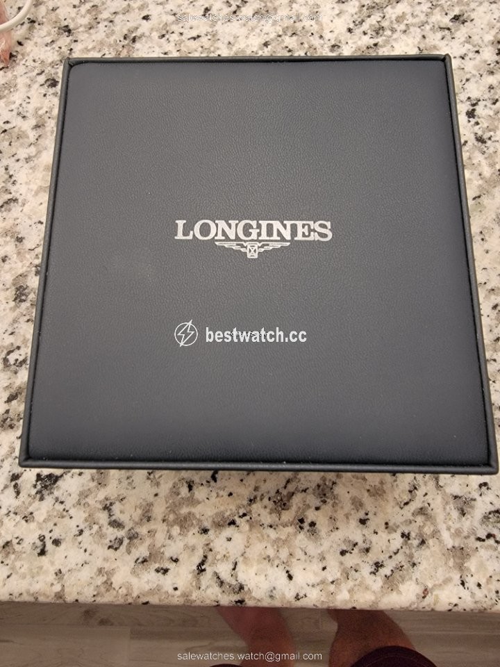 IMG_9085 Longines Conquest Mens watch Unisex Quartz Steel L3.759.4.96.6 Replica 2