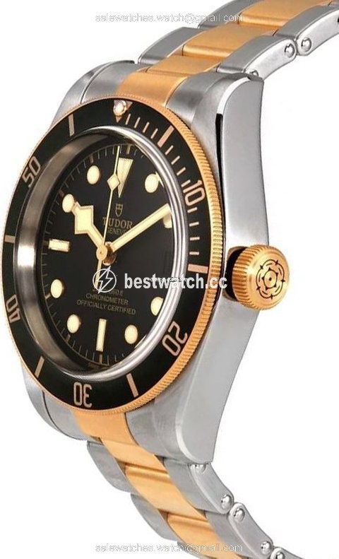 IMG_9085 Tudor Black Bay S&G Mens watch Unisex Automatic Steel M79733N-0002 Replica 2