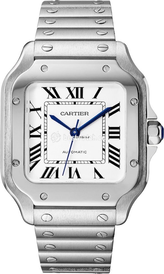 IMG_9085 Cartier Santos Mens watch Unisex Automatic Steel WSSA0029 Replica 2