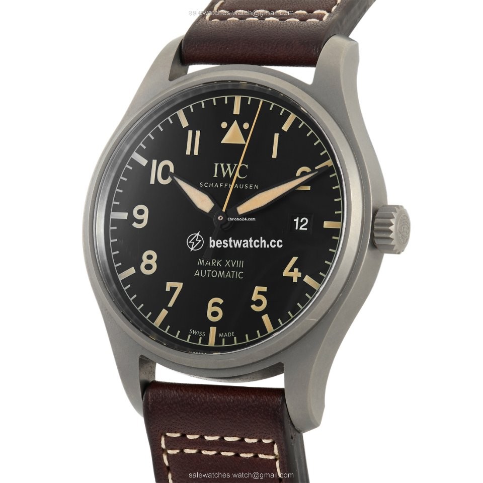 IMG_9085 IWC Pilot Mark Mens watch Unisex Automatic Titanium 327006 Replica 2