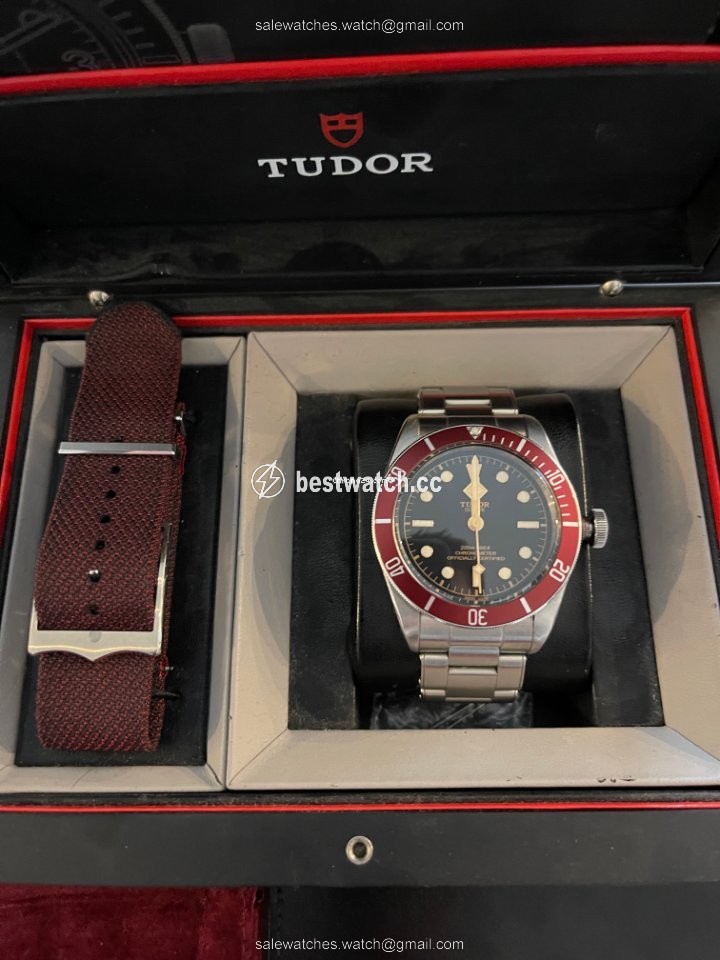 Tudor Black Bay Mens watch Unisex Automatic Steel 79230R-0003 Replica 2