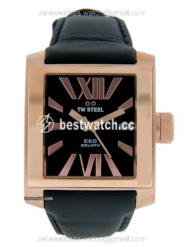 IMG_9085 TW Steel Mens watch Unisex Quartz Steel CE3010 Replica 2