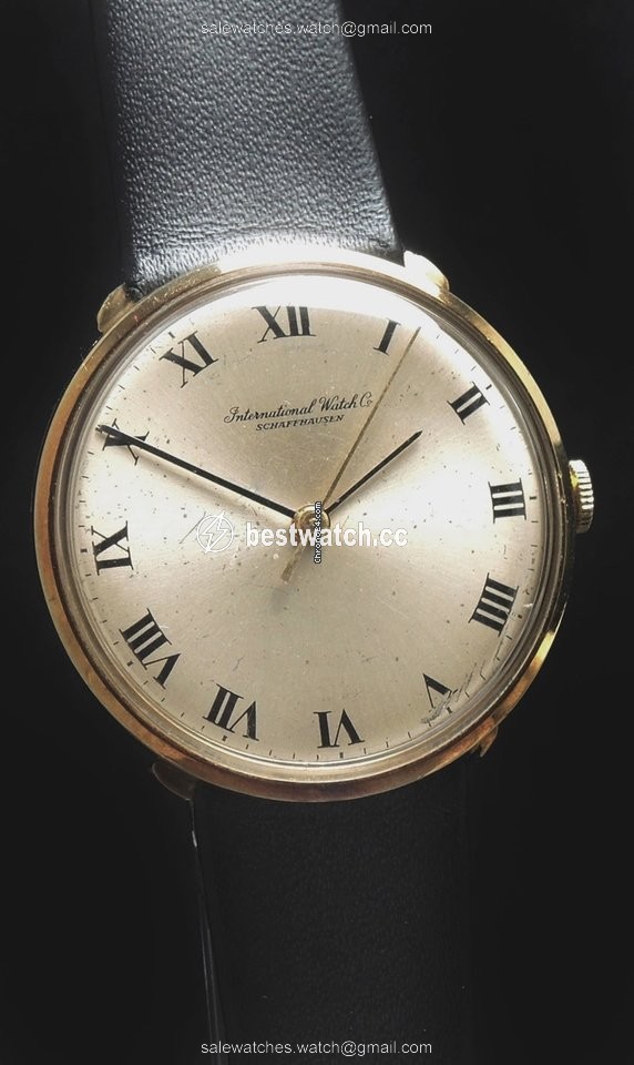 IMG_9085 IWC Mens watch Unisex Manual winding Yellow gold 2401 Replica 2
