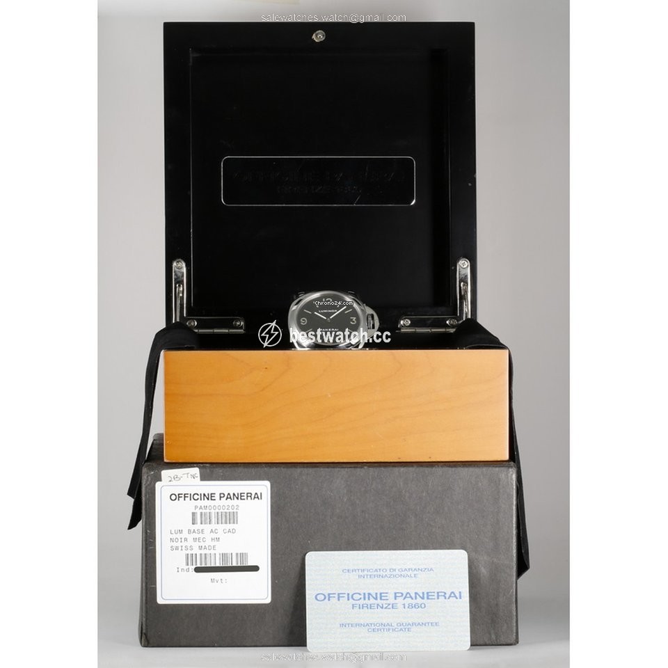 Panerai Luminor Base Manual winding Steel Pam 2 Replica 2