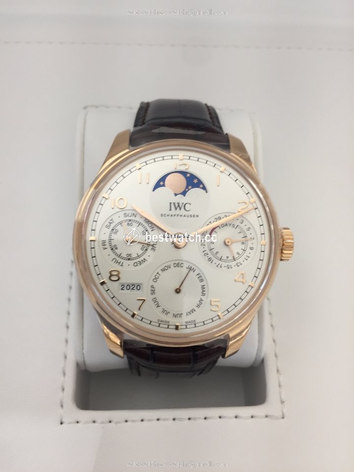 IMG_9085 IWC Portuguese Perpetual Calendar Mens watch Unisex Automatic Rose gold IW503302 Replica 2