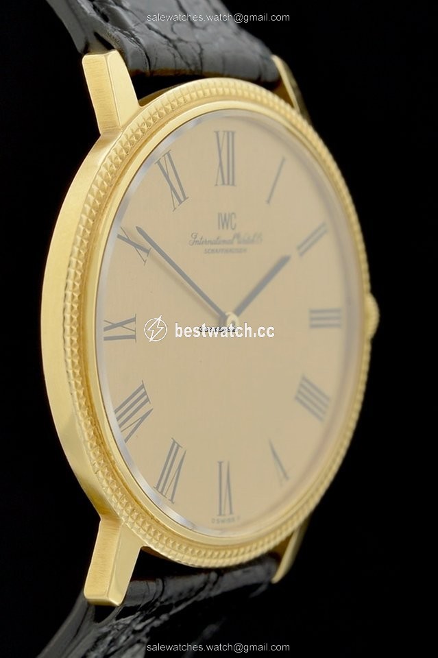 IMG_9086 IWC Mens watch Unisex Manual winding Yellow gold 2006 3