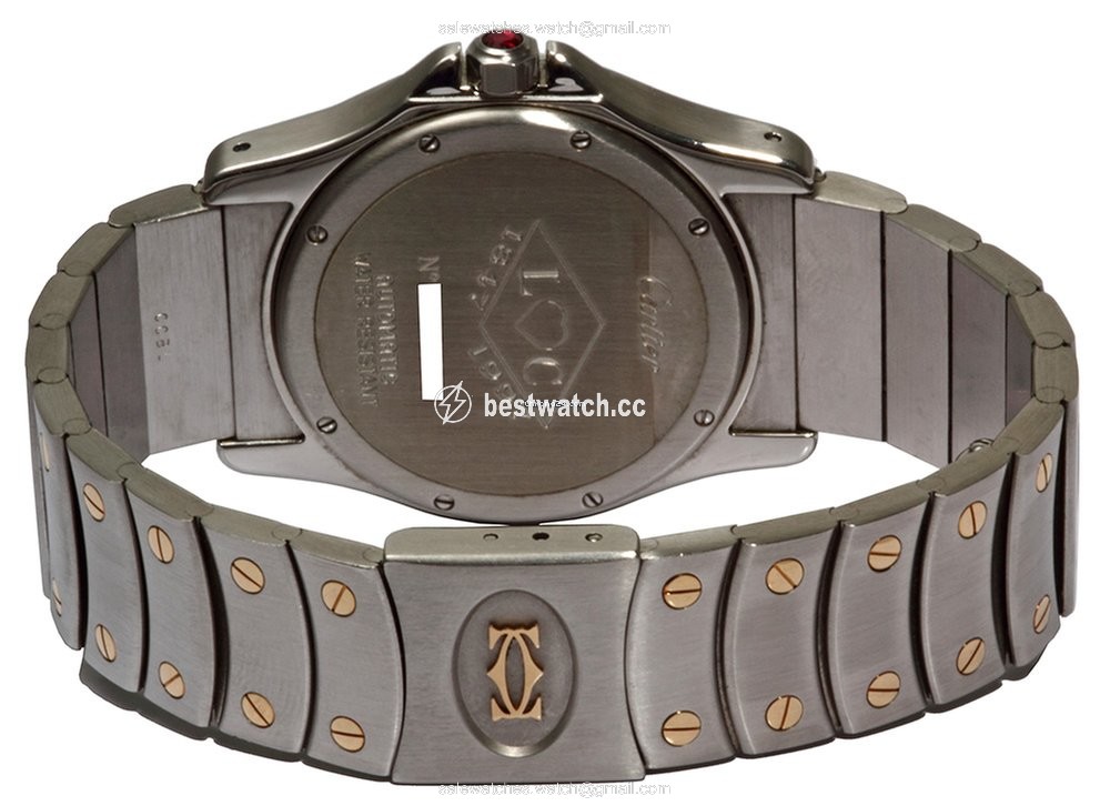 IMG_9086 Cartier Santos Mens watch Unisex Automatic Gold Steel W20038R3 3