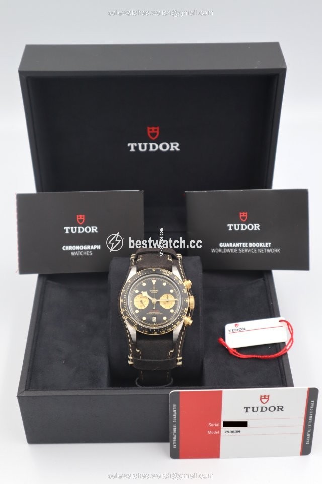 IMG_9086 Tudor Mens watch Unisex Automatic Gold Steel 79363N 3