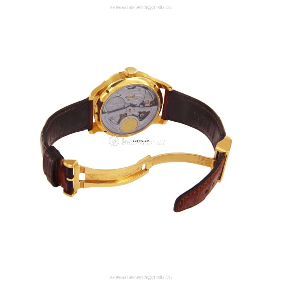 IMG_9086 IWC Portuguese Perpetual Calendar Mens watch Unisex Automatic Rose gold IW5021-03 3