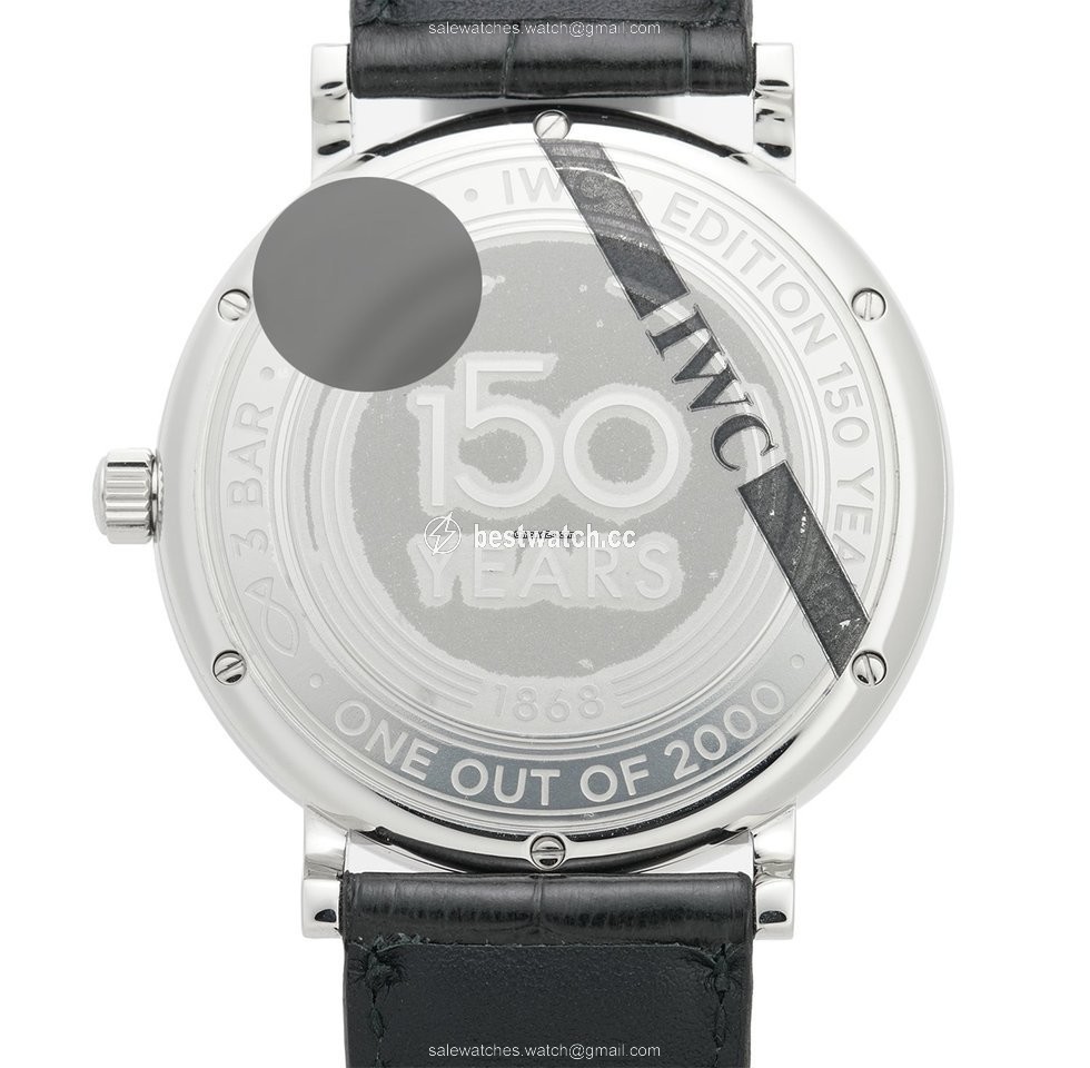 IWC Portofino Automatic Automatic Steel IW356518 3